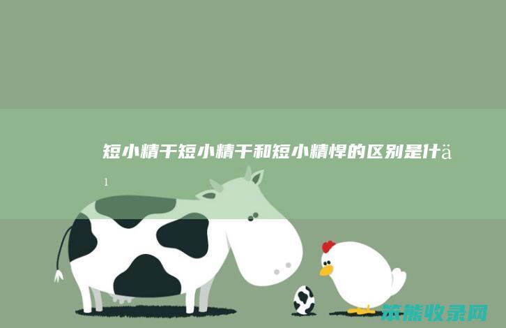 短小精干（短小精干和短小精悍的区别是什么）