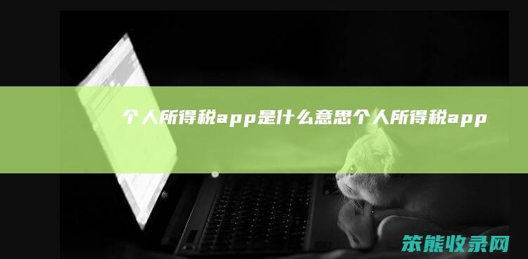 个人所得税app是什么意思（个人所得税app啥意思）