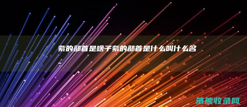 紫的部首是啥子（紫的部首是什么叫什么名字）