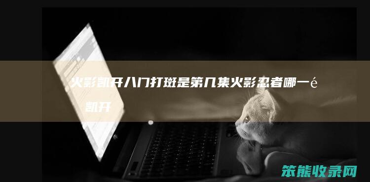 火影凯开八门打斑是第几集火影忍者集凯开