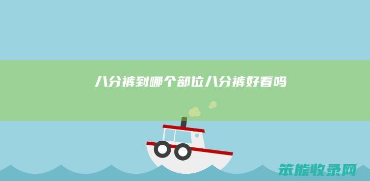 八分裤到哪个部位（八分裤好看吗）