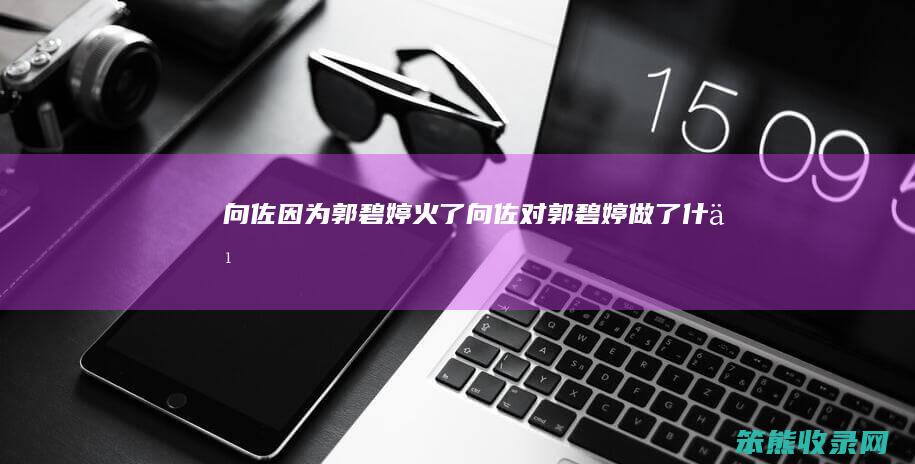 向佐因为郭碧婷火了（向佐对郭碧婷做了什么）
