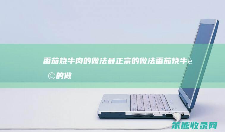 番茄烧牛肉的做法最正宗的做法（番茄烧牛腩的做法）