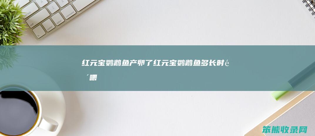 红元宝鹦鹉鱼产卵了（红元宝鹦鹉鱼多长时间喂）