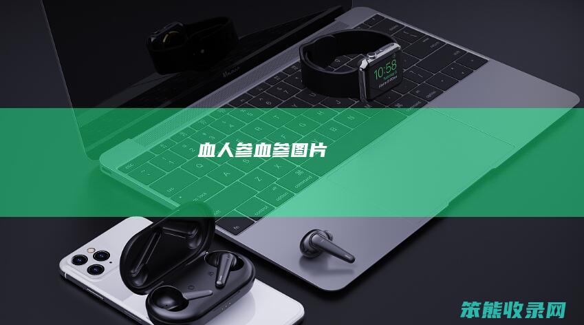 血人参（血参图片）