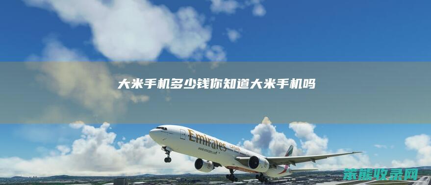 大米手机多少钱（你知道大米手机吗）