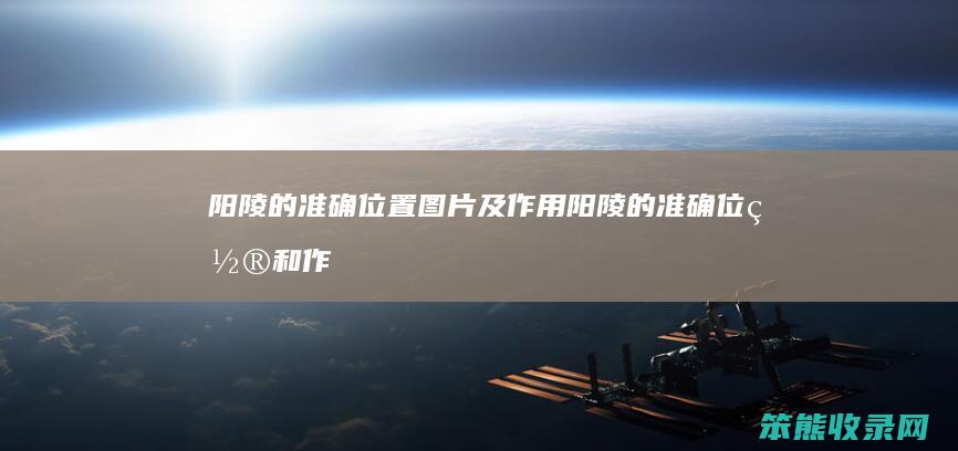 阳陵的准确位置图片及作用（阳陵的准确位置和作用视频）