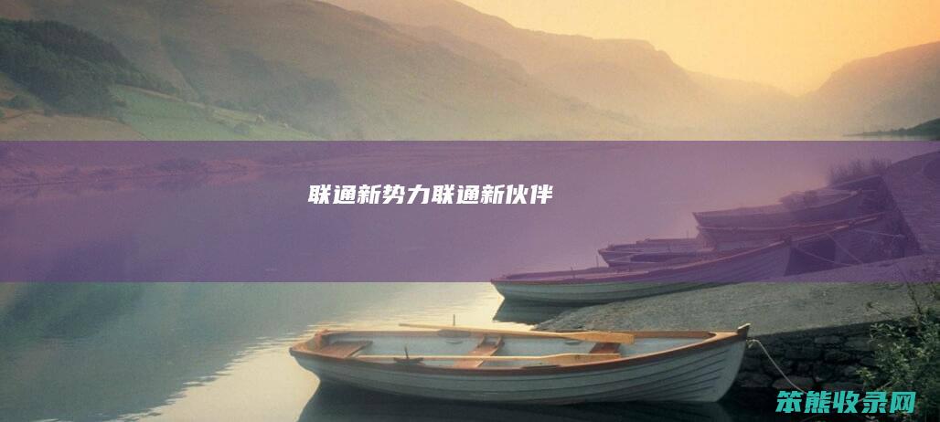 联通新势力（联通新伙伴）