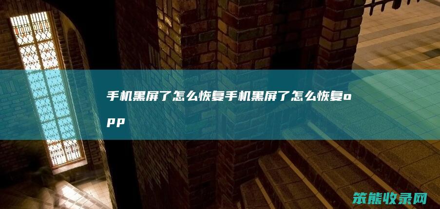 手机黑屏了怎么恢复（手机黑屏了怎么恢复oppo手机是开机的）