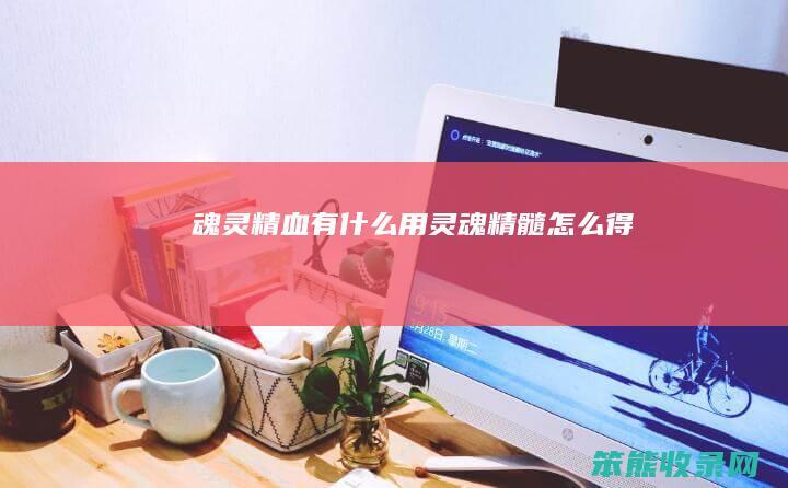 魂灵精血有什么用（灵魂精髓怎么得）
