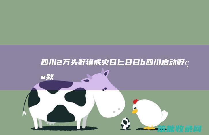 四川2万头野猪成灾日匕日日b（四川启动野猪致害防控试点）