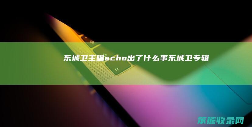 东城卫主唱acho出了什么事（东城卫专辑）