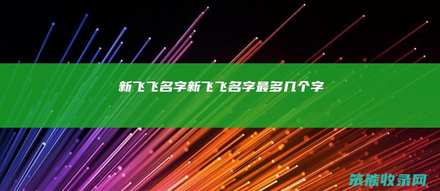 新飞飞名字（新飞飞名字最多几个字）