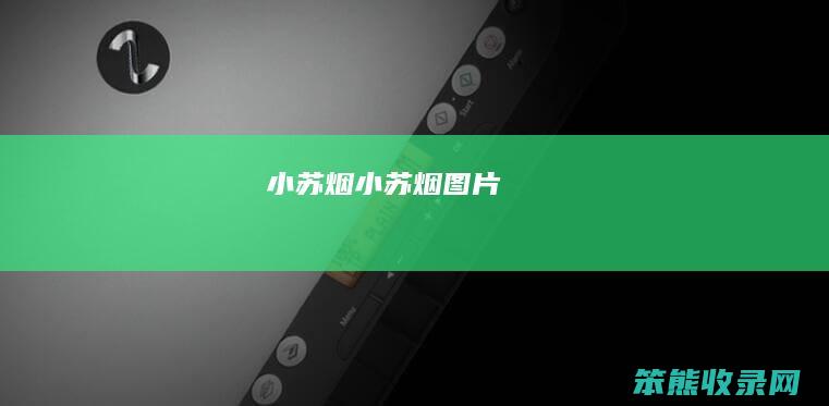 小苏烟（小苏烟图片）