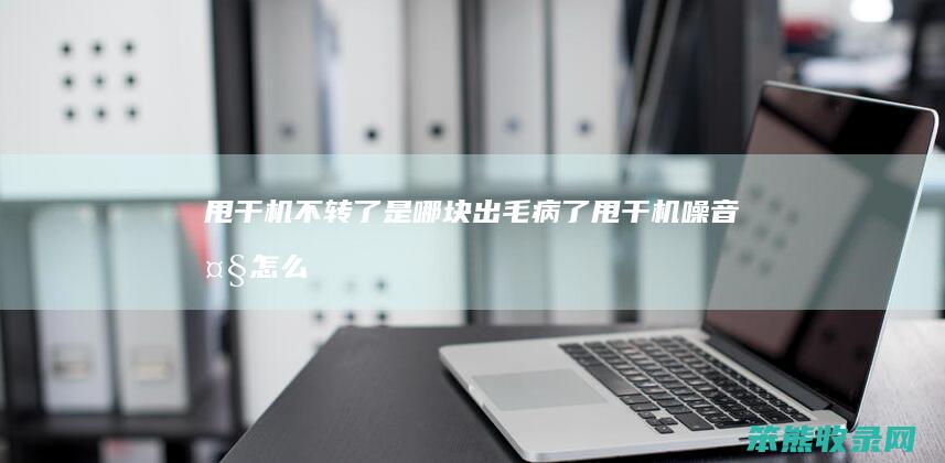 甩干机不转了是哪块出毛病了（甩干机噪音大怎么处理）