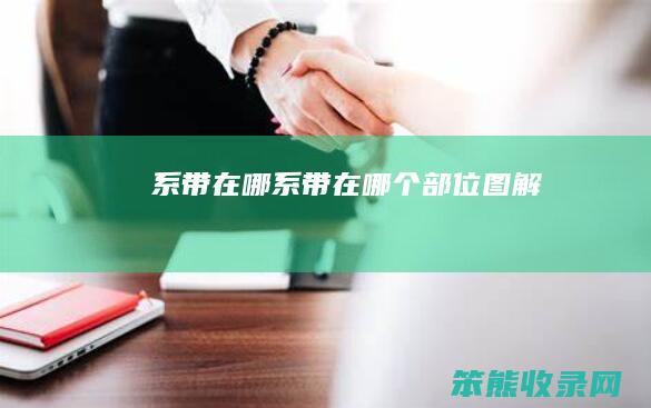 系带在哪（系带在哪个部位图解）