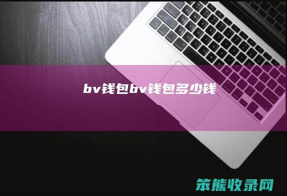 bv钱包（bv钱包多少钱）