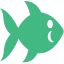 主页