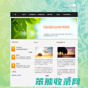 巴曲花精与自我疗愈
