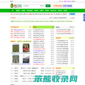 西瓜产地网