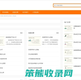 伊布绿植,草本植物,花园花事,花卉园艺,小型盆栽