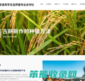 远安八籼虾稻米/虾稻鲜米