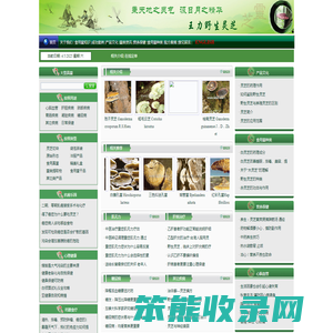 大连佰芝堂生物科技有限公司