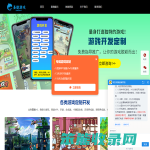 游戏软件开发