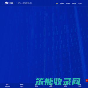 文兴网络