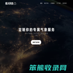 极大科技