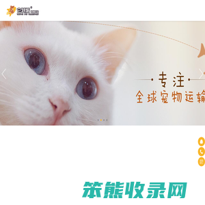 宠物出国