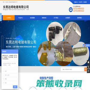 东莞达明电镀有限公司