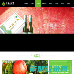 苹果酵素