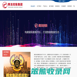 腾龙公司