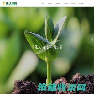 中证金鹏