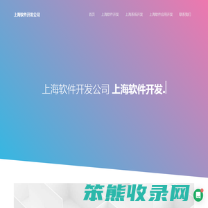 上海软件开发