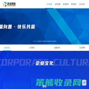 福建游龙网络科技有限公司