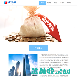 内蒙古纳税网
