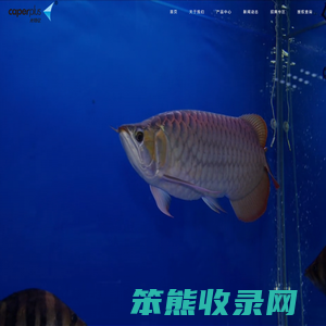 光特亿