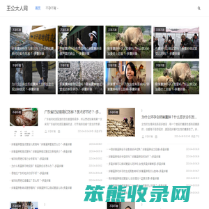王公大人网