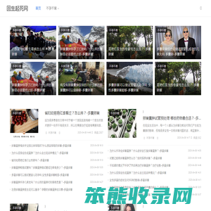 回生起死网