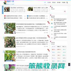 繁趣花卉网