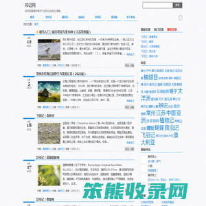 祁记网