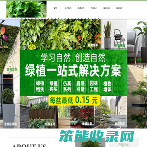 金坛绿植租赁