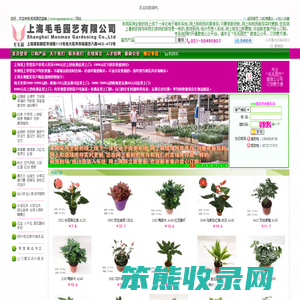 毛毛园艺盆栽网