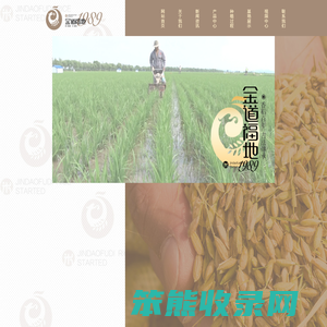 金稻福米业有限公司,五常大米,五常稻花香,五常大米厂,五常大米代工,五常大米价格