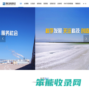 藏格矿业股份有限公司