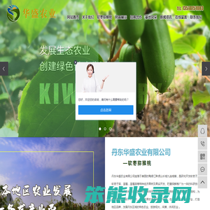 软枣苗