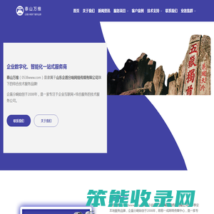 泰山万维