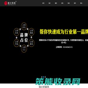 SEO·品牌推广·网络营销策划·王通